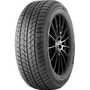 225/45R18 DOUBLESTAR DW09 95T XL FR