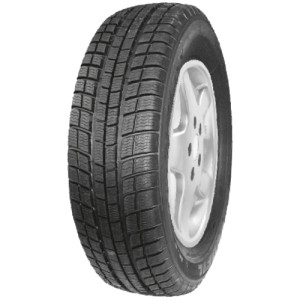 195/65R15 PROFIL WINTERMAXX 91H (RESTAURUOTA)