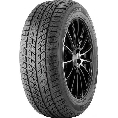 Double Star 255/50R20 109H DW09 XL