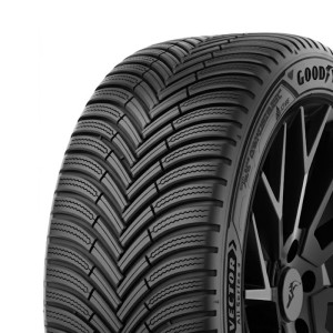 GOODYEAR R19 100H padangos