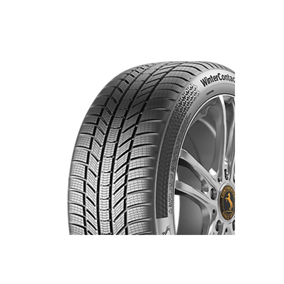 CONTINENTAL R20 870T padangos