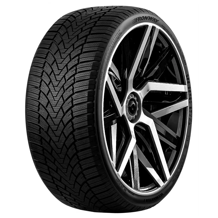 225/55 R16 95H ICEMASTER I