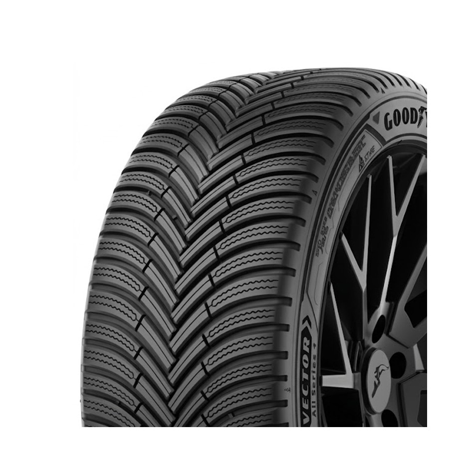 Padangos VECTOR ALL SEASON 4 101 T ( B B B 71dB )