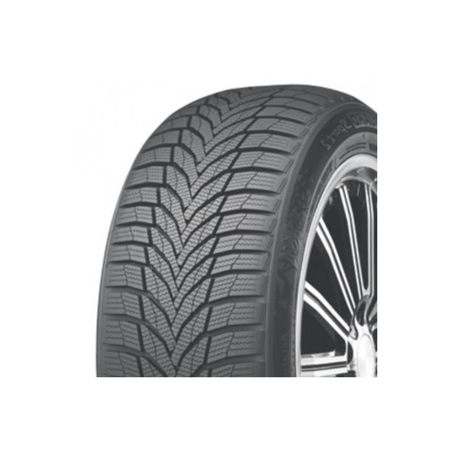 NEXEN R19 98V padangos