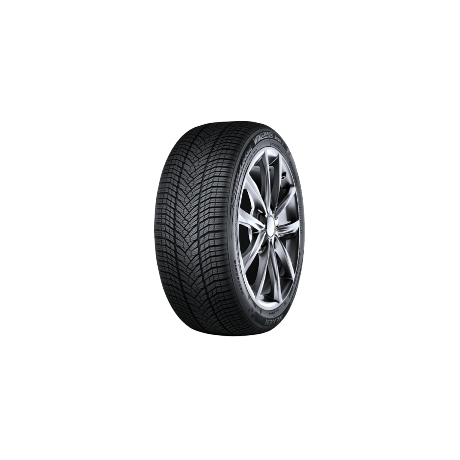 NEXEN R17 100V padangos