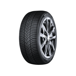 NEXEN R19 93T Vasarinės padangos