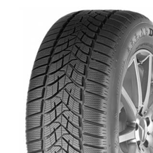 DUNLOP R18 107H padangos
