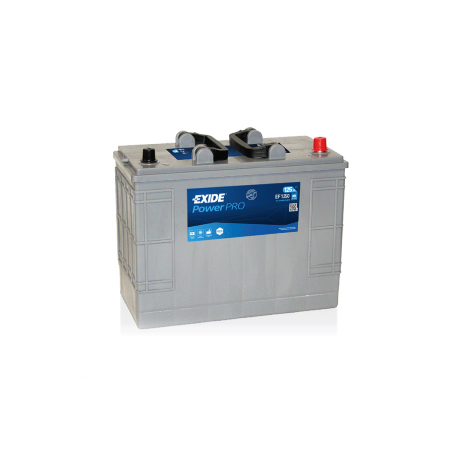 EXIDE 850A padangos