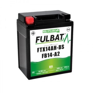 FULBAT 175A padangos