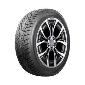Autogreen 205/60R16 92T ICE CRUISER AW01 studded