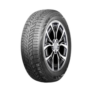 Autogreen 205/55R16 91H AW08