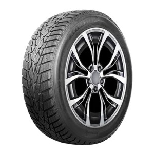 Autogreen 195/55R16 87T AW01 studded
