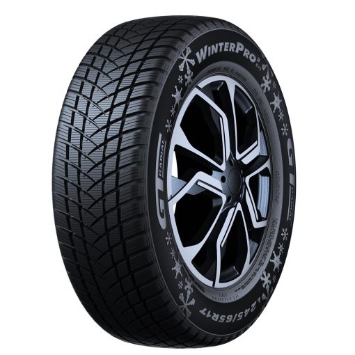 GT RADIAL WINTERPRO 2 (EVO) 205 55R16 91H